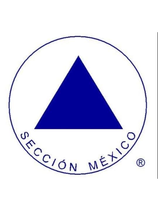 Carl Jung y Alcohólicos Anónimos